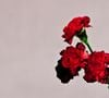 4. John Legend - "Love in the Future"