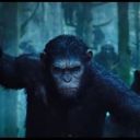 Bande-annonce de "La planète des singes : L'Affrontement"