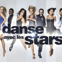 "Danse avec les stars" 2014 : Les 11 célébrités