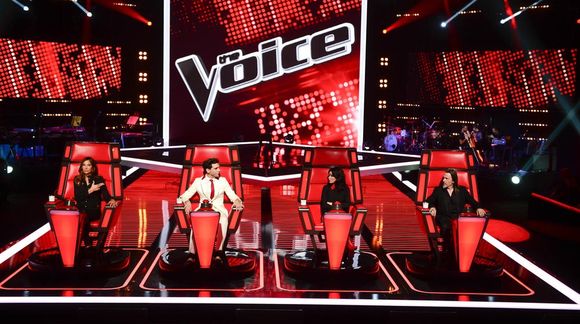 "The Voice" 2015 sur TF1.