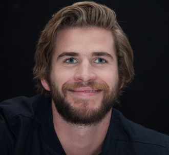 <span>Liam Hemsworth remplace Will Smith</span>