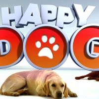 Audiences : "Happy Dog" revient doucement sur M6