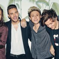 "Drag Me Down" : One Direction bat le record mondial de streaming