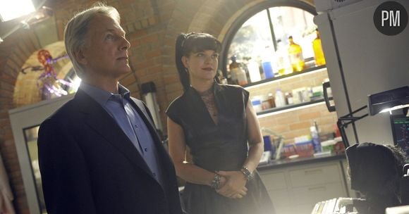 "NCIS" a-t-elle réussi son retour sur M6 ?