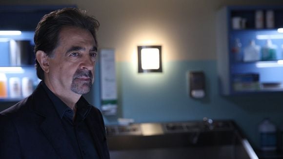 Audiences : "L'Amour est dans le pré" devant "Esprits criminels", "La Trêve" s'essouffle