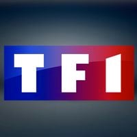 Bilan : La saison 2016-2017 de... TF1