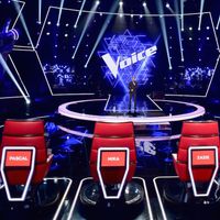 Audiences : Plus bas démarrage pour "The Voice", "Cassandre" en forme, faible finale pour "Destination Eurovision"