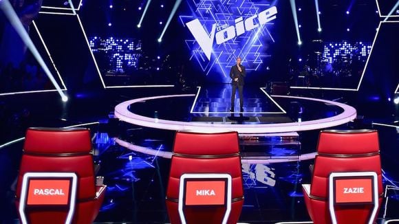 Audiences : Plus bas démarrage pour "The Voice", "Cassandre" en forme, faible finale pour "Destination Eurovision"