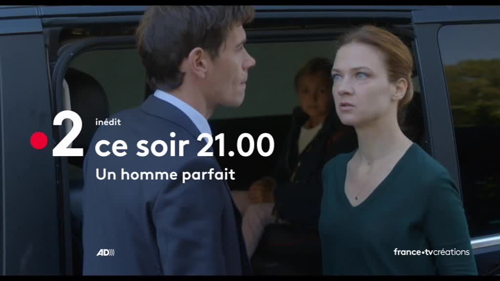 Un Homme Parfait Streaming Odile Vuillemin