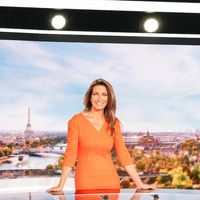 Audiences access 20h : Laurent Delahousse en forme sur France 2, record pour "Zoo Nursery Berlin"