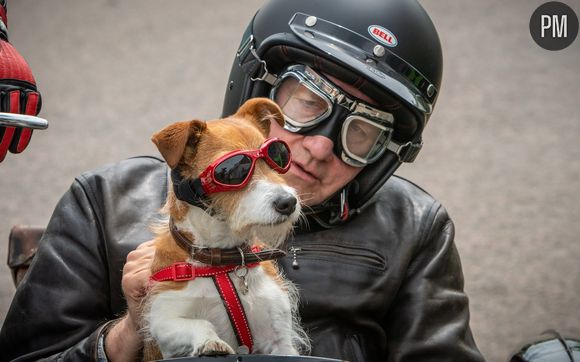 Neil Dudgeon et Paddy le chien dans "Inspecteur Barnaby"