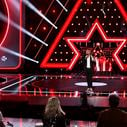 "The Artist" : En difficulté d'audience, Nagui change de jury sur France 2