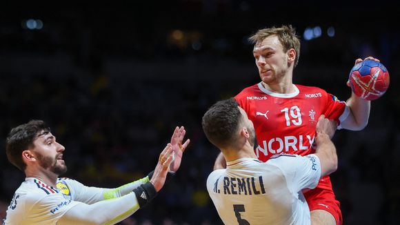 Audiences : Quel score pour la défaite de l'équipe de France en finale du Mondial de handball sur TF1 ?