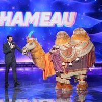 "Une première mondiale !" : Près de 1.000 heures de travail pour concevoir le chameau de "Mask Singer"