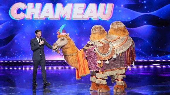 "Une première mondiale !" : Près de 1.000 heures de travail pour concevoir le chameau de "Mask Singer"