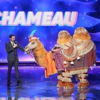 Replay : Quelle audience à J+7 pour le lancement de la saison 5 de "Mask Singer" sur TF1 ?