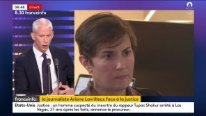 &quot;La liberté de la presse ne permet pas tout&quot; : Franck Riester réagit à la perquisition du domicile d&#039;Ariane Lavrilleux sur Franceinfo