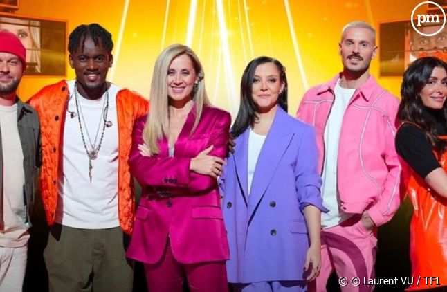"Dream Team, la relève des stars" débarque sur TF1 dès le vendredi 19 janvier 2023.