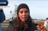 "Il faut se battre !" : Karine Le Marchand débarque auprès des agriculteurs sur le blocage de l'A4, en Seine-et-Marne