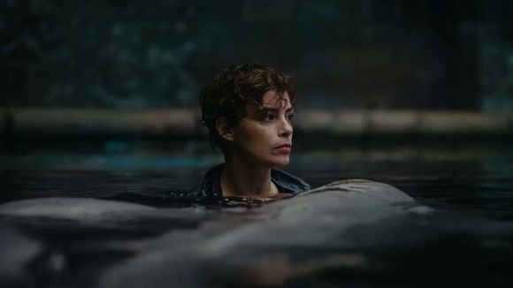 "On a relevé 135 points de contact..." : "Sous la Seine", le film de requins phénomène de Netflix, accusé de plagiat