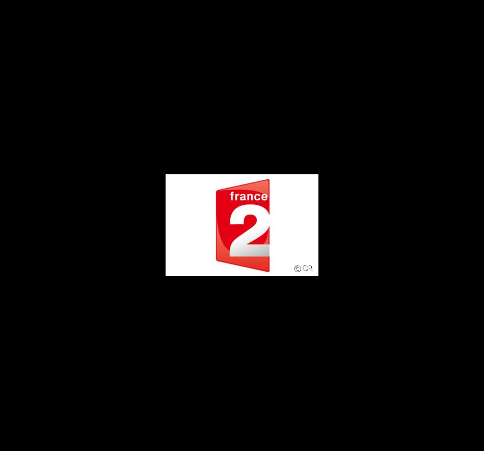 Le logo de France 2