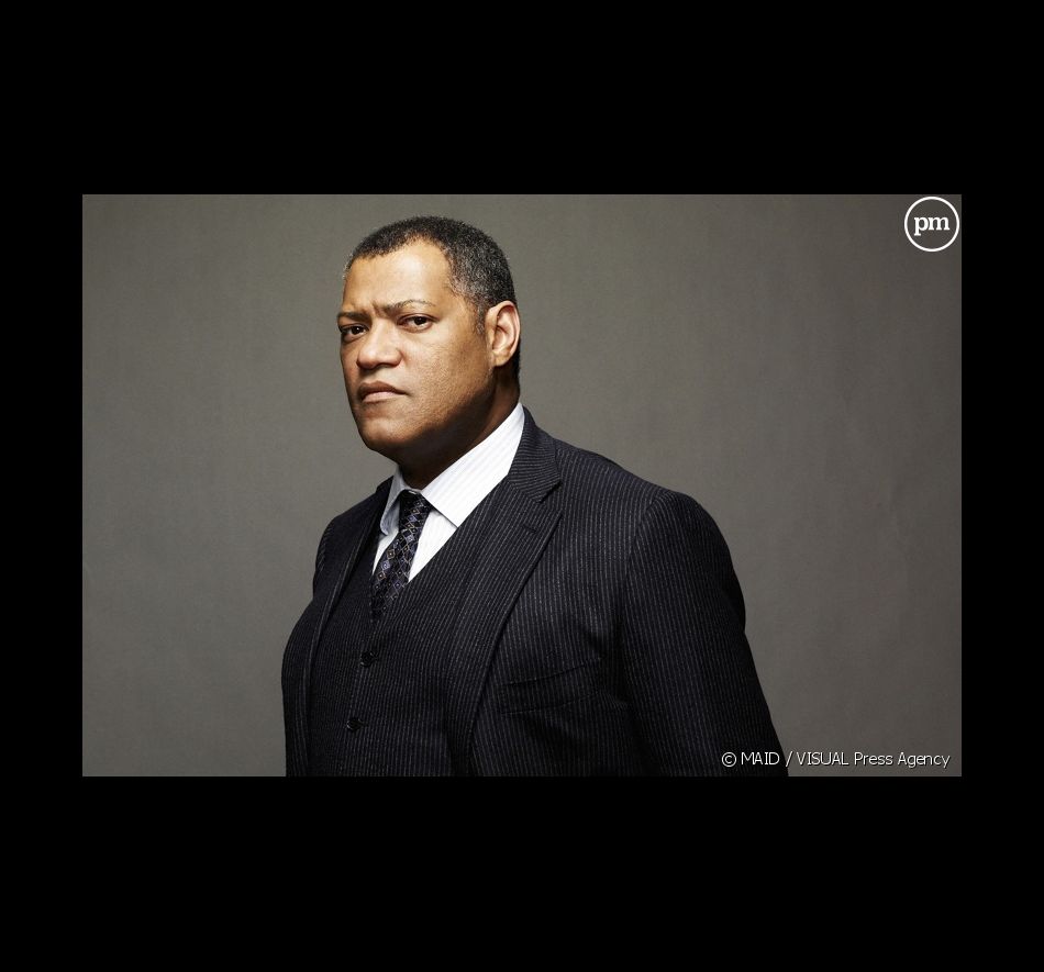 Laurence Fishburne est le Professeur Raymond Langston dans "Les Experts