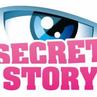 "Secret Story 4" a-t-il failli passer de TF1 à M6 ?