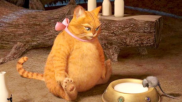 Box-Office : "Shrek 4" s'adjuge la moitié du marché français