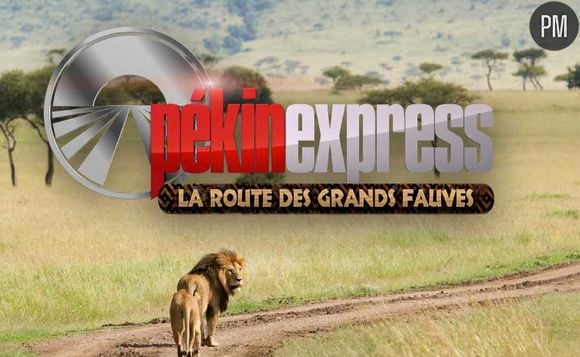 "Pékin Express, la route des grands fauves" sur M6