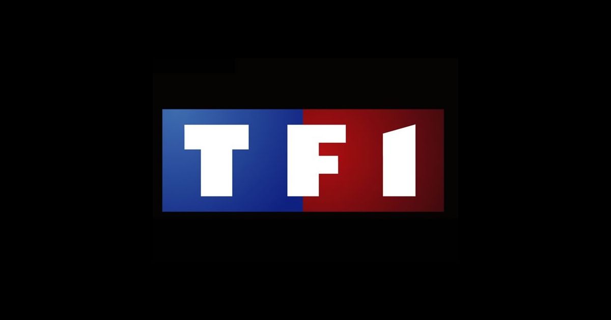 TF1 veut prendre le contrôle du quotidien gratuit "Metro"