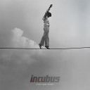 2. Incubus - If Not Now When, 80.000 ventes (Entrée)