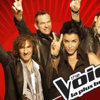 "The Voice, la plus belle voix" : succès d'audience et financier pour TF1