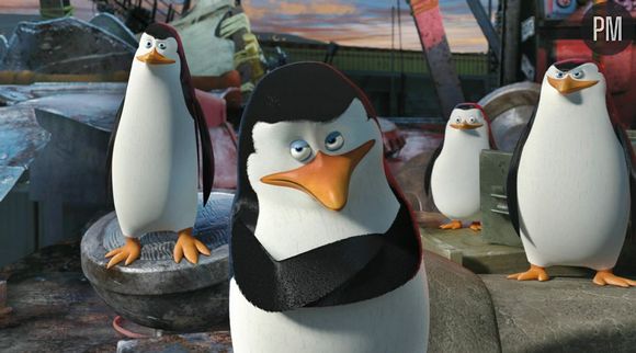 Les Pingouins de "Madagascar 3"