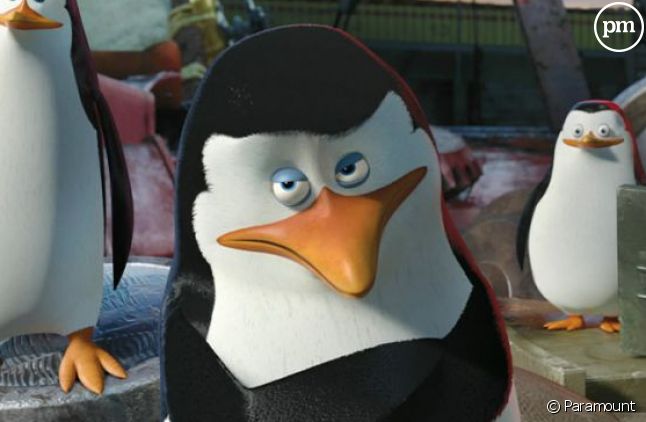 Les Pingouins de "Madagascar 3"
