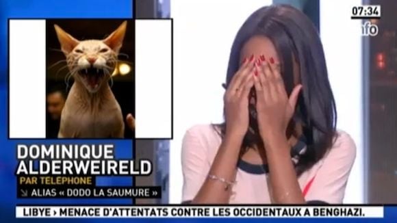 Zapping : "La Matinale" de Canal+ confond Dodo la Saumure avec... un chat !