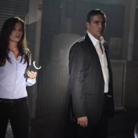 Programme TV : Une "Person of Interest", propriétaire de la "Maison la plus originale" ?