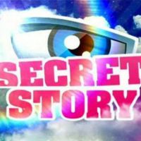 "Secret Story", "Plus belle la vie" et "Bref", programmes les plus "rattrapés" en 2012