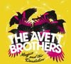 5. The Avett Brothers - "Magpie and the Dandelion"