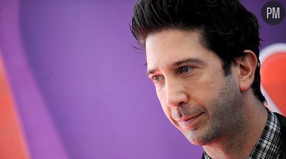 David Schwimmer tient le rôle principal du pilote de "Irreversible"