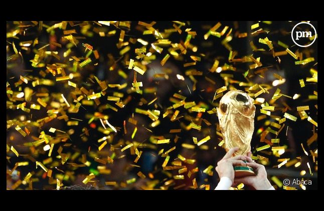 La finale de la Coupe du Monde 2014 sera diffusée sur TF1 et beIN Sports.