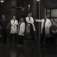 "Grey's Anatomy" : Une pétition délirante pour le retour du héros tué