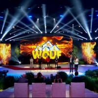 Audiences : "Wouf" enregistre un mauvais bilan sur NRJ 12