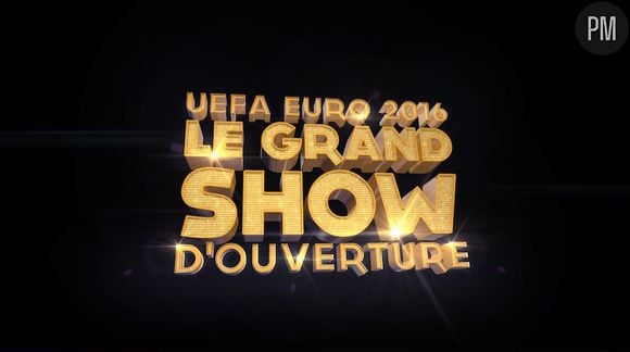 "UEFA Euro 2016 : le grand show d'ouverture" a-t-il séduit les téléspectateurs de TF1 ?