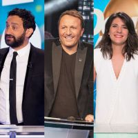 TV Notes 2016 : Arthur, TPMP, les Enfoirés, l'Eurovision... Les divertissements et jeux de la saison