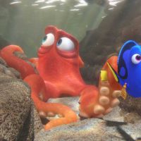 Box-office US : "Dory" résiste à "Tarzan" et "American Nightmare 3", "Le BGG" déçoit