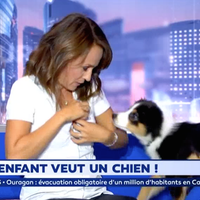 Le chien de Christophe Beaugrand perturbe une chronique de la matinale de LCI