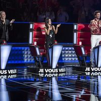 Audiences : Face à Tottenham/ Liverpool, le téléfilm de France 3 leader devant "The Voice" au plus bas historique