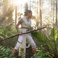 Box-office : "Star Wars 9" puissant leader mais en baisse devant "La reine des neiges 2", "Jumanji" résiste