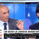 "Je n'ai pas envie d'entendre vos fausses leçons d'histoire" : Clash entre Jack Lang et Eric Zemmour sur CNews