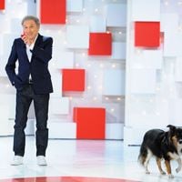 "Vivement dimanche" : Michel Drucker fait sa rentrée sur France 2 aujourd'hui